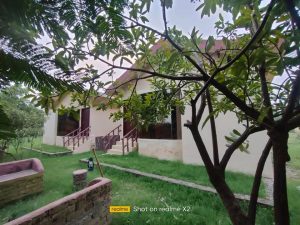 whatsapp image 2025 08 20 at 3.33.14 pm (1)