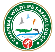 chambal logo