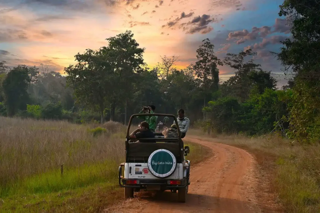 walking vs jeep safari