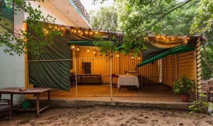 whatsapp image 2025 10 22 at 10.04.25 am