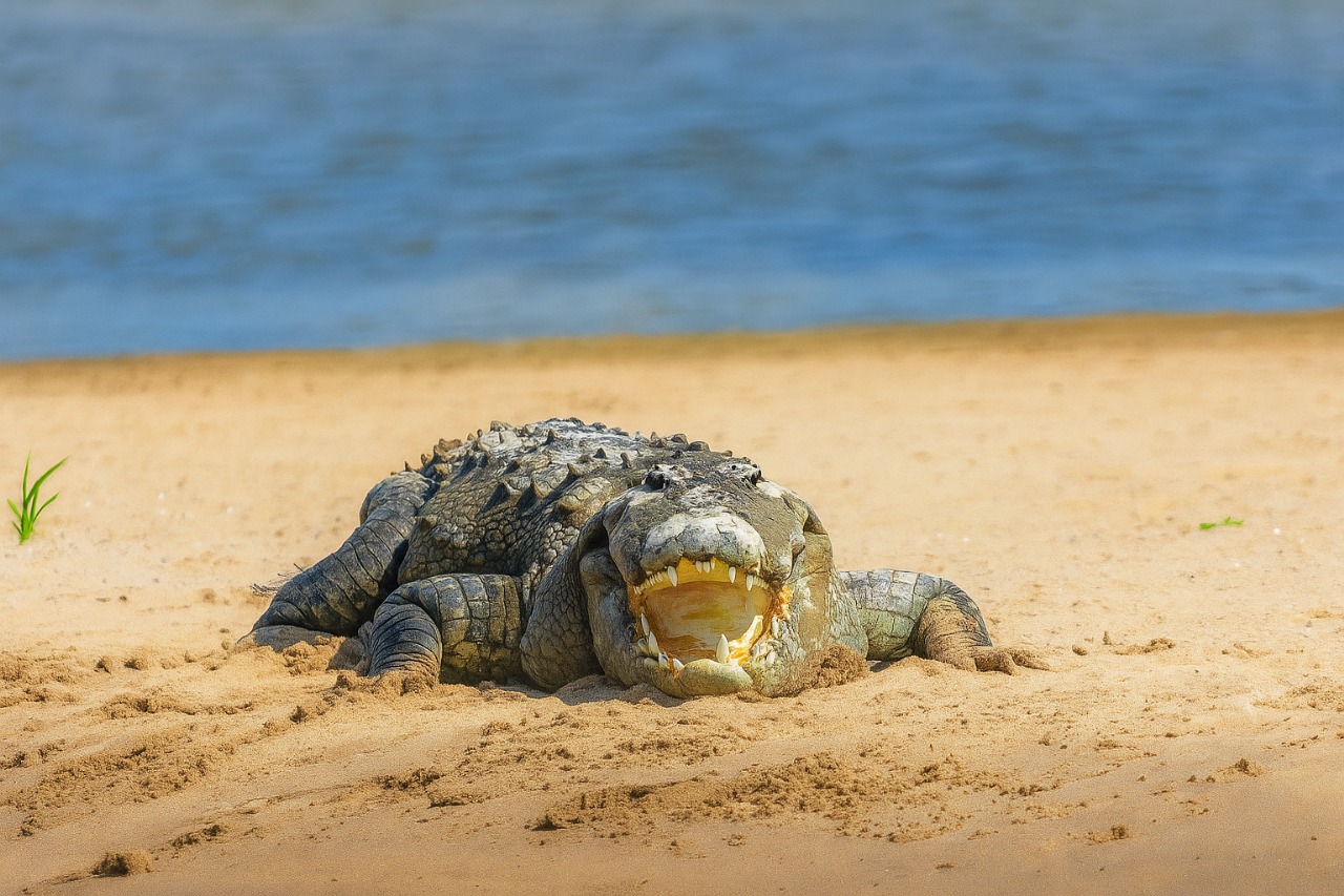 whatsapp image 2025 11 13 at 11.43.41 am