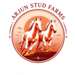 Arjun stud farms