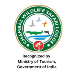 recognize by ministry of tourisam govt of india