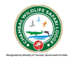 recognize by ministry of tourisam govt of india